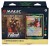 magic-the-gathering-fallout-commader-deck-display-4 (5).jpg