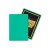 dragon-shield-standard-sleeves-matte-mint-100szt (1).jpg