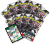 ETB BLACK 4.png