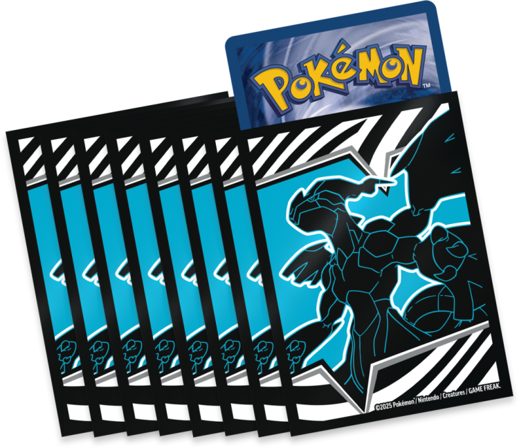 ETB BLACK 5.png
