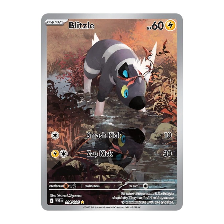 236250f0e6eb4f1257629620bc4d61e7