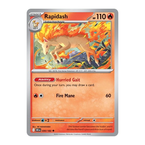 847ded1534c69865d5c10b9de91a53e4