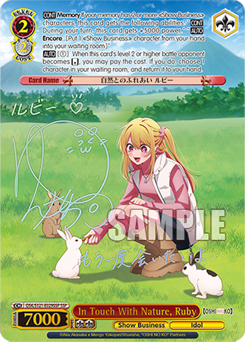 WS_OSK_S121_E029SSP_foilOn.png